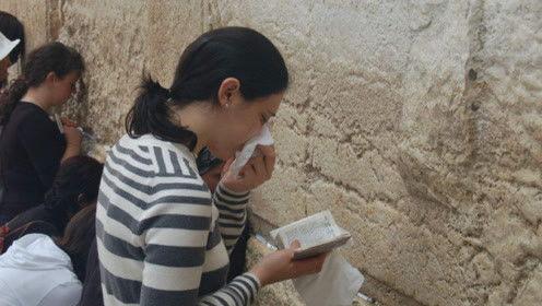 娱乐吃瓜君理发师,揭秘明星造型背后的秘密